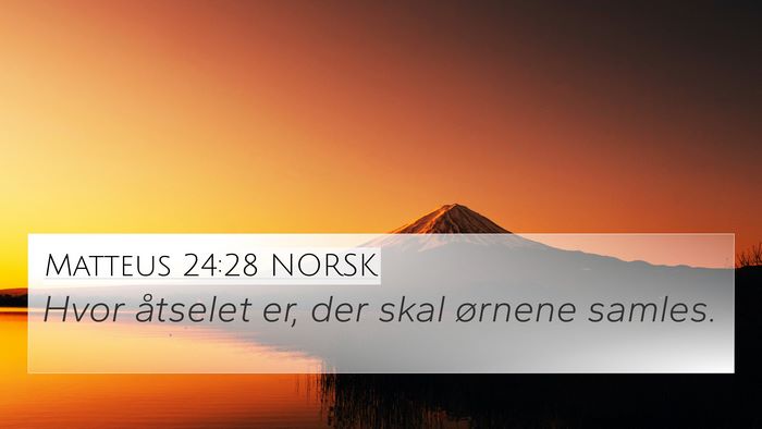 Matteus 24:28 NORSK Bible Verse Image