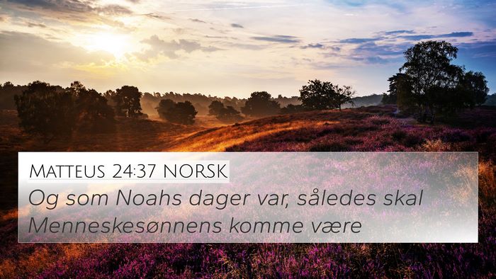 Matteus 24:37 NORSK Bible Verse Image