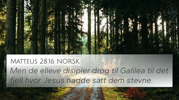 Matteus 28:16 NORSK 4K Wallpaper - Men de elleve disipler drog til Galilea til det - 4K Wallpaper Bible Verse