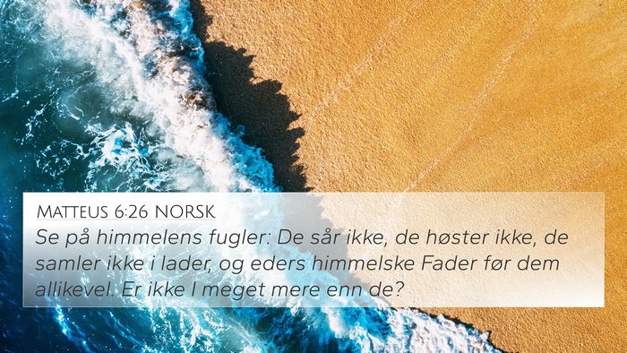 Matteus 6:26 NORSK Bible Verse Image