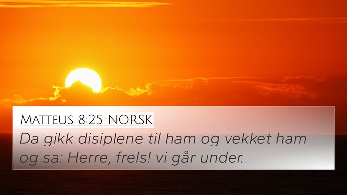 Matteus 8:25 NORSK 4K Wallpaper - Da gikk disiplene til ham og vekket ham og sa: - 4K Wallpaper Bible Verse