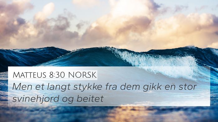 Matteus 8:30 NORSK Bible Verse Image