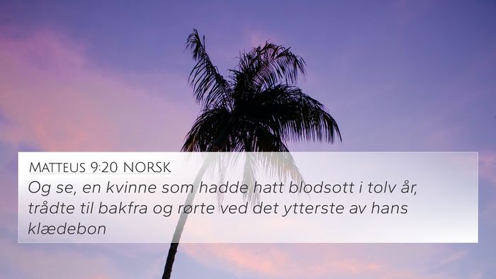 Matteus 9:20 NORSK Bible Verse Image