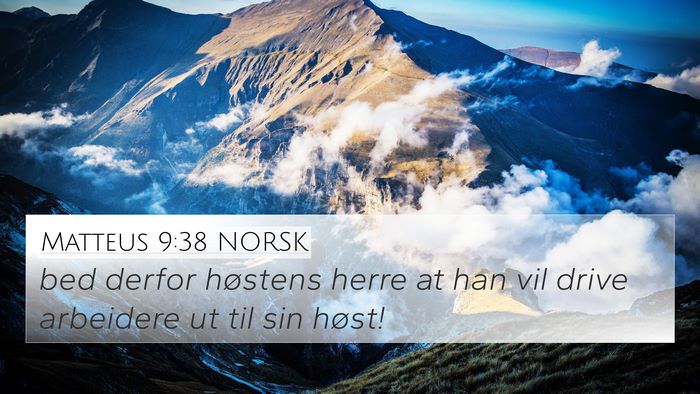 Matteus 9:38 NORSK 4K Wallpaper - bed derfor høstens herre at han vil drive - 4K Wallpaper Bible Verse