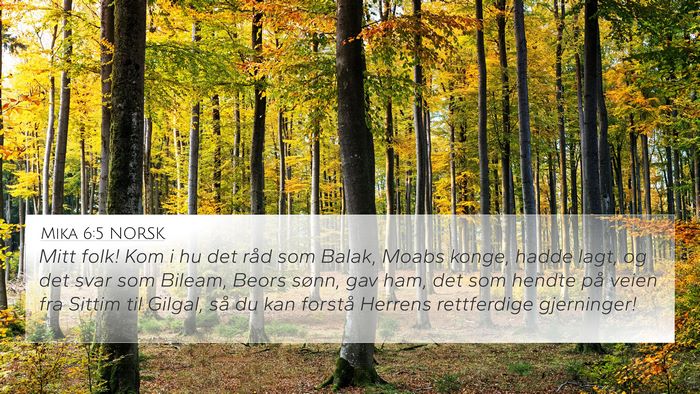 Mika 6:5 NORSK Bible Verse Image