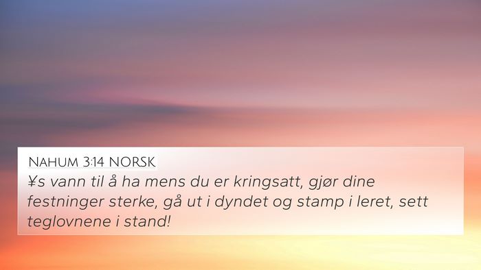 Nahum 3:14 NORSK Bible Verse Image
