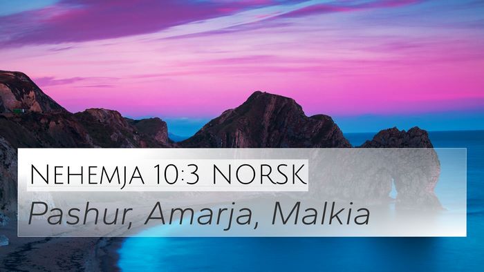 Nehemja 10:3 NORSK Bible Verse Image