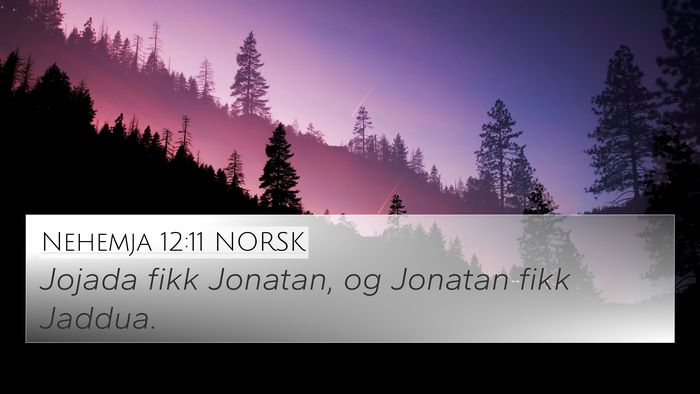 Nehemja 12:11 NORSK 4K Wallpaper - Jojada fikk Jonatan, og Jonatan fikk - 4K Wallpaper Bible Verse