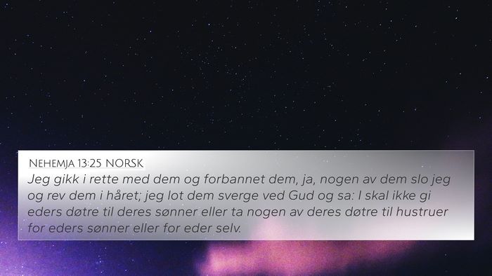 Nehemja 13:25 NORSK Bible Verse Image