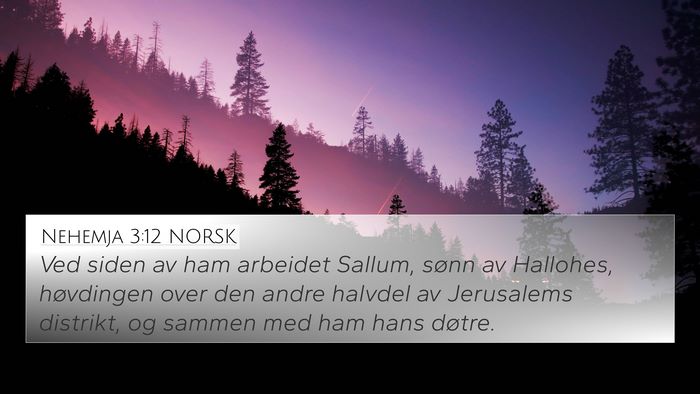Nehemja 3:12 NORSK Bible Verse Image