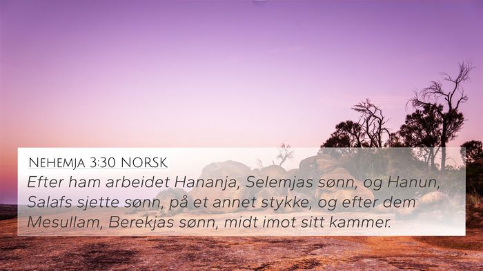 Nehemja 3:30 NORSK Bible Verse Image