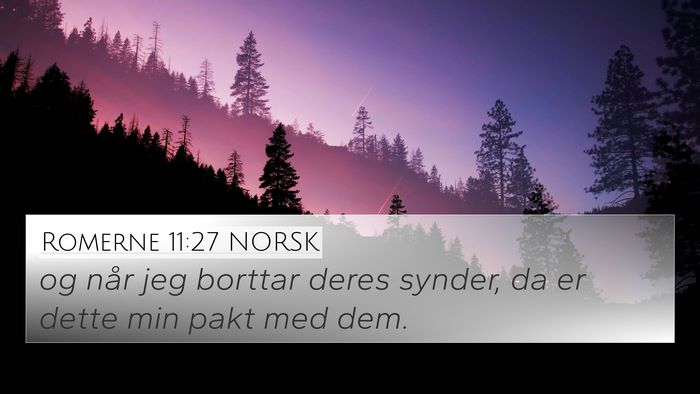 Romerne 11:27 NORSK Bible Verse Image