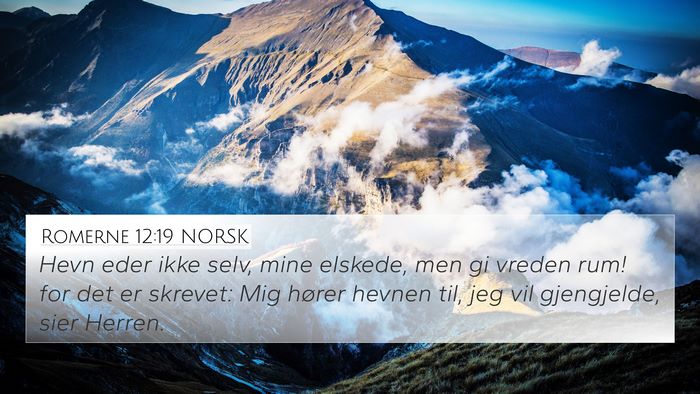Romerne 12:19 NORSK Bible Verse Image