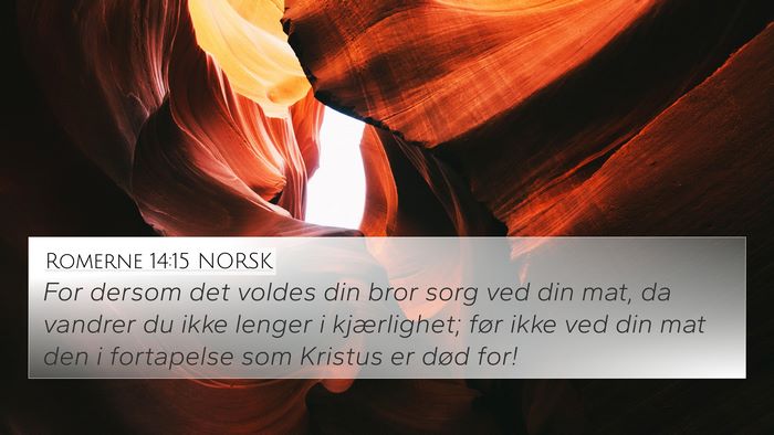 Romerne 14:15 NORSK Bible Verse Image