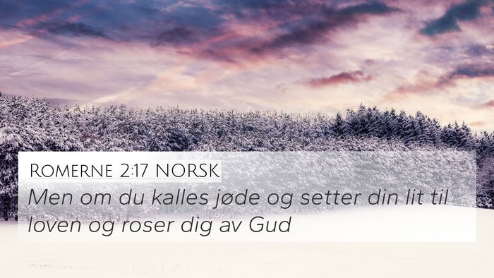 Romerne 2:17 NORSK Bible Verse Image