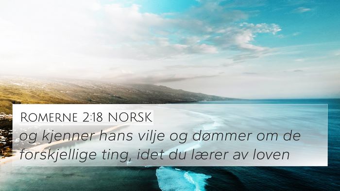 Romerne 2:18 NORSK Bible Verse Image