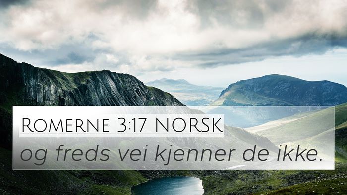Romerne 3:17 NORSK Bible Verse Image