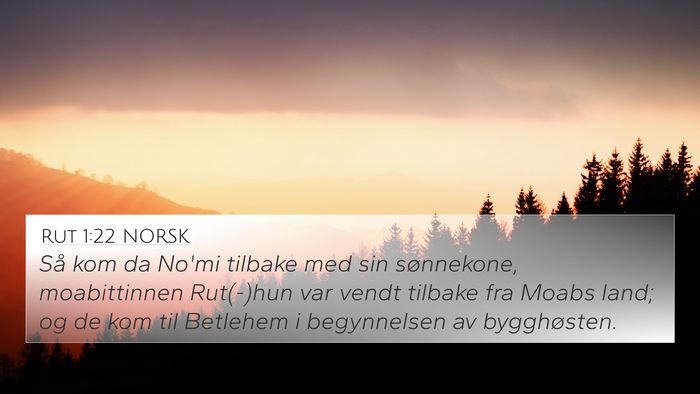 Rut 1:22 NORSK Bible Verse Image