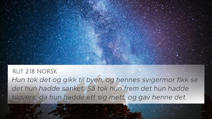 Rut 2:18 NORSK Bible Verse Image