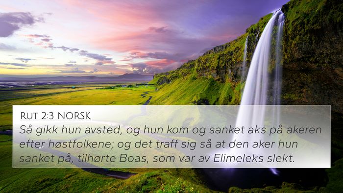 Rut 2:3 NORSK 4K Wallpaper - Så gikk hun avsted, og hun kom og sanket aks på - 4K Wallpaper Bible Verse