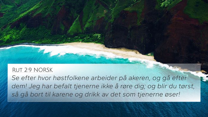 Rut 2:9 NORSK 4K Wallpaper - Se efter hvor høstfolkene arbeider på akeren, - 4K Wallpaper Bible Verse