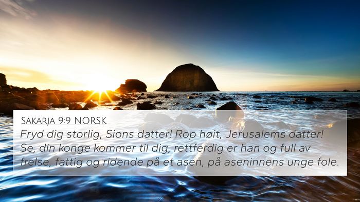 Sakarja 9:9 NORSK Bible Verse Image