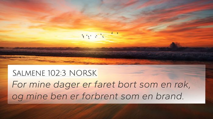 Salmene 102:3 NORSK Bible Verse Image