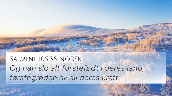 Salmene 105:36 NORSK Bible Verse Image