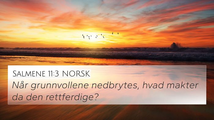 Salmene 11:3 NORSK Bible Verse Image