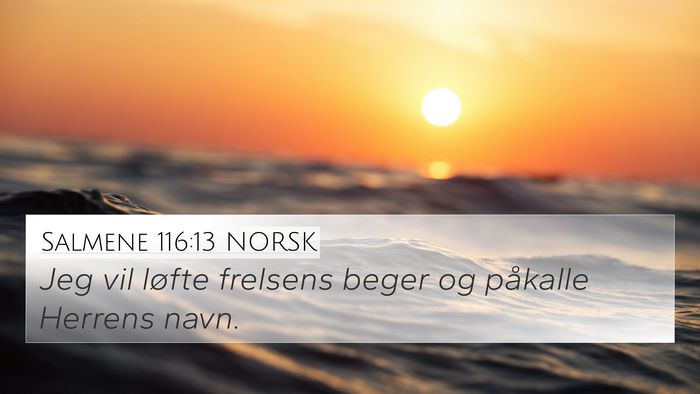 Salmene 116:13 NORSK Bible Verse Image