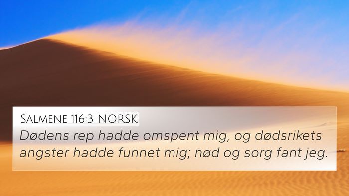 Salmene 116:3 NORSK Bible Verse Image