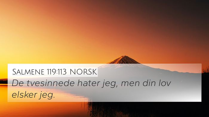 Salmene 119:113 NORSK Bible Verse Image