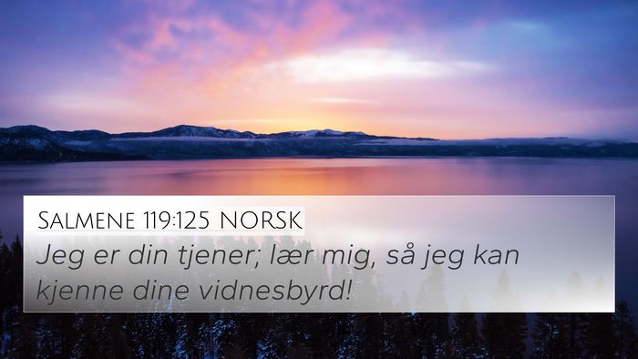 Salmene 119:125 NORSK Bible Verse Image