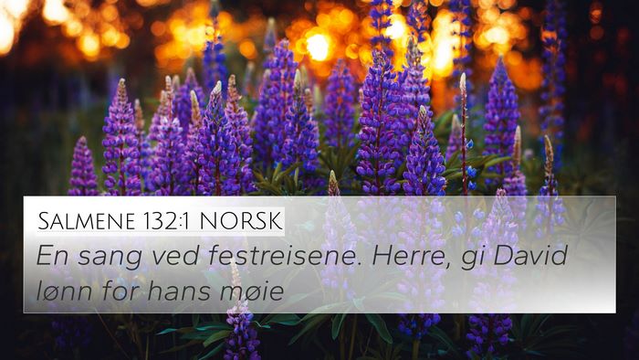 Salmene 132:1 NORSK 4K Wallpaper - En sang ved festreisene. Herre, gi David lønn - 4K Wallpaper Bible Verse