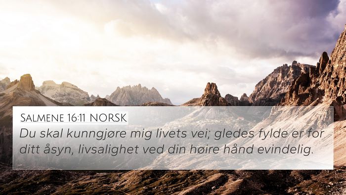 Salmene 16:11 NORSK Bible Verse Image