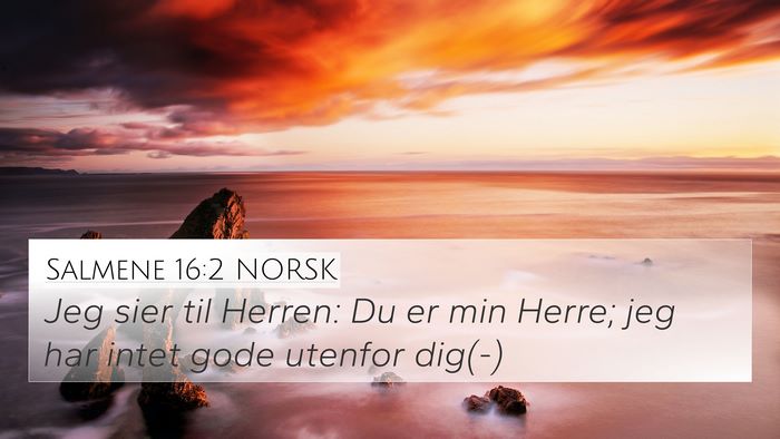 Salmene 16:2 NORSK Bible Verse Image