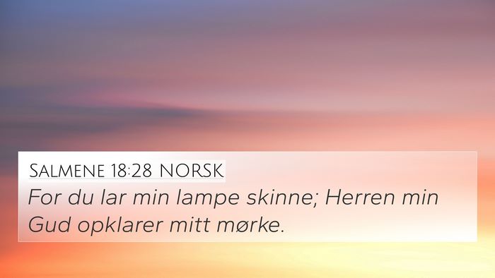 Salmene 18:28 NORSK Bible Verse Image