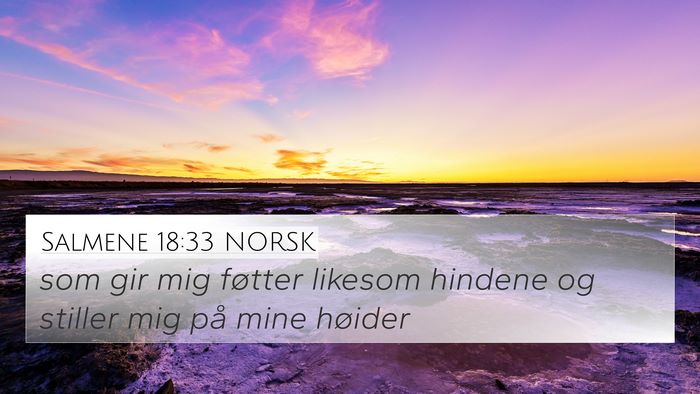Salmene 18:33 NORSK Bible Verse Image