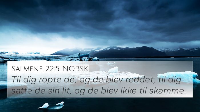 Salmene 22:5 NORSK Bible Verse Image