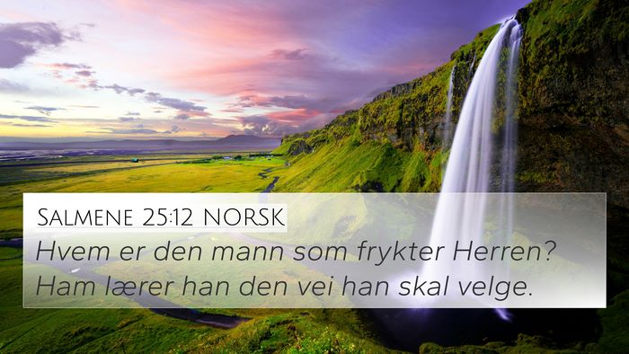 Salmene 25:12 NORSK Bible Verse Image