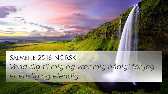 Salmene 25:16 NORSK Bible Verse Image