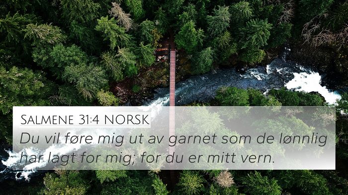 Salmene 31:4 NORSK 4K Wallpaper - Du vil føre mig ut av garnet som de lønnlig har - 4K Wallpaper Bible Verse