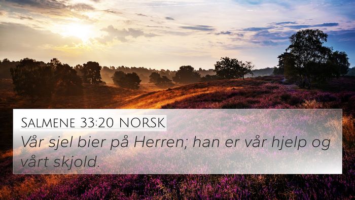 Salmene 33:20 NORSK Bible Verse Image