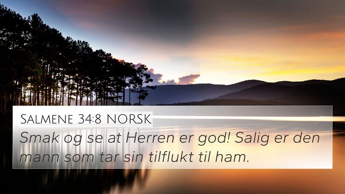 Salmene 34:8 NORSK Bible Verse Image