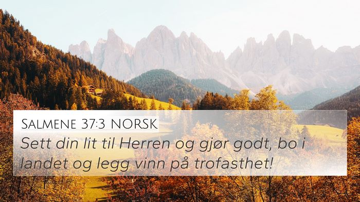 Salmene 37:3 NORSK Bible Verse Image