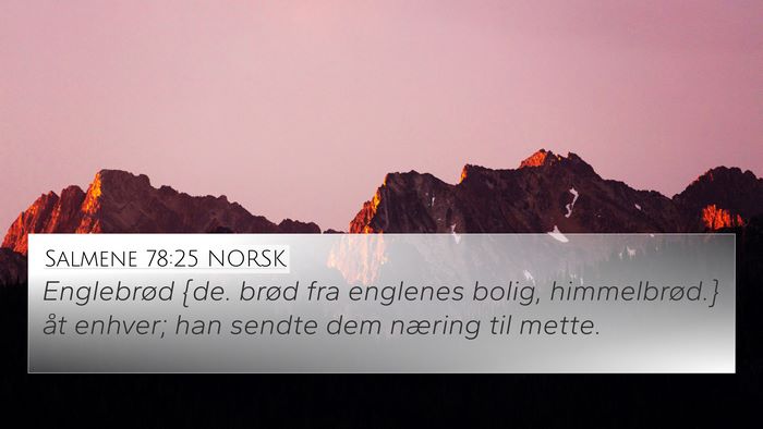 Salmene 78:25 NORSK 4K Wallpaper - Englebrød {de. brød fra englenes bolig, - 4K Wallpaper Bible Verse