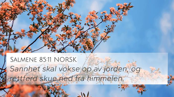 Salmene 85:11 NORSK Bible Verse Image