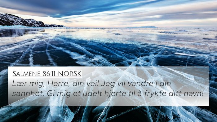 Salmene 86:11 NORSK Bible Verse Image