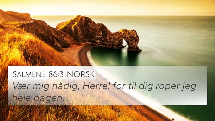 Salmene 86:3 NORSK Bible Verse Image