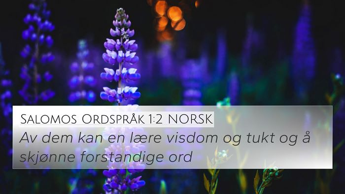 Salomos Ordspråk 1:2 NORSK 4K Wallpaper - Av dem kan en lære visdom og tukt og å skjønne - 4K Wallpaper Bible Verse